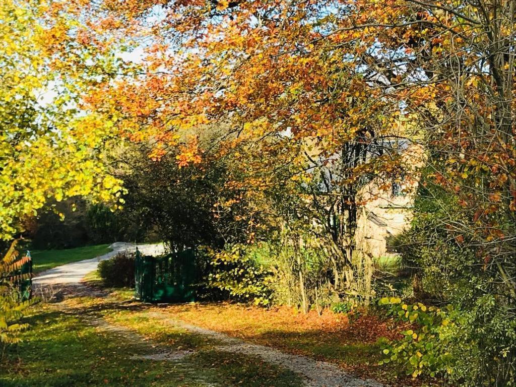 Lovely Meadow House In The Land Of Croix Scaille Gedinne Exterior photo